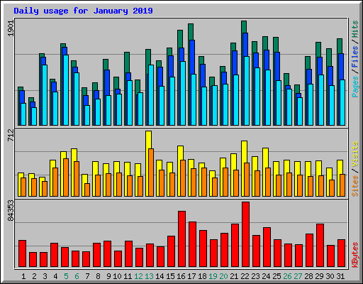 Daily usage for January 2019