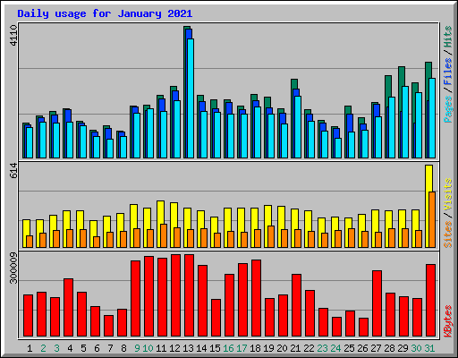 Daily usage for January 2021