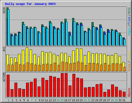 Daily usage for January 2023