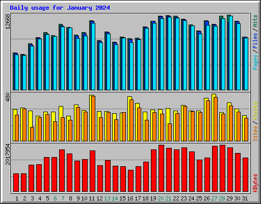 Daily usage for January 2024