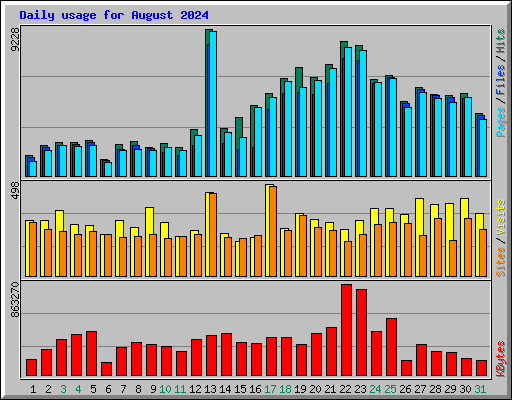 Daily usage for August 2024