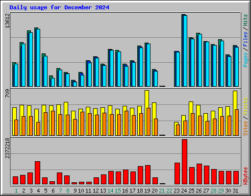 Daily usage for December 2024