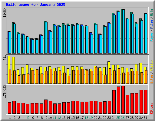 Daily usage for January 2025
