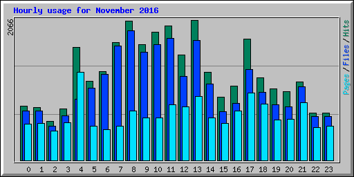 Hourly usage for November 2016