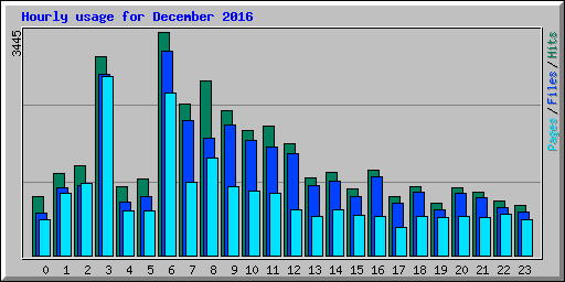 Hourly usage for December 2016