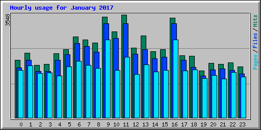 Hourly usage for January 2017