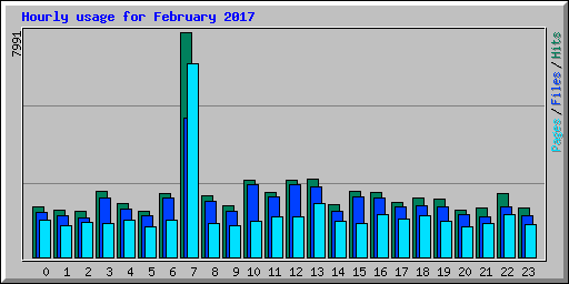 Hourly usage for February 2017
