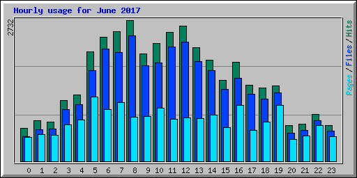 Hourly usage for June 2017