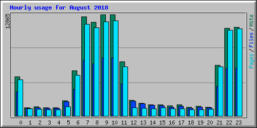 Hourly usage for August 2018