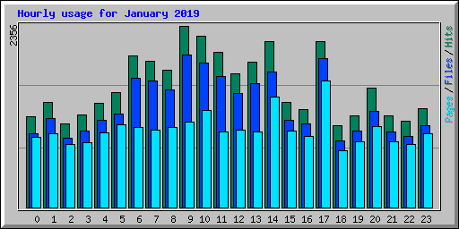 Hourly usage for January 2019