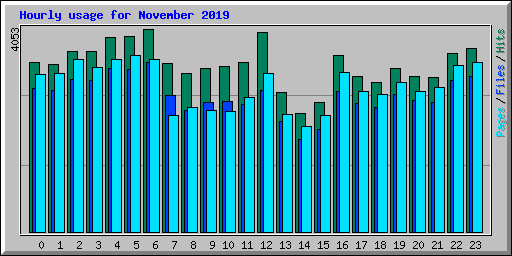 Hourly usage for November 2019