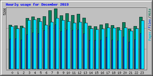 Hourly usage for December 2019