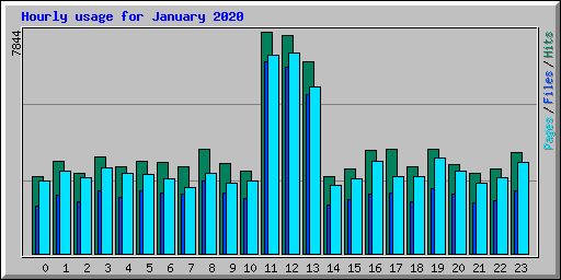 Hourly usage for January 2020