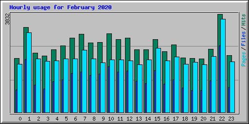 Hourly usage for February 2020