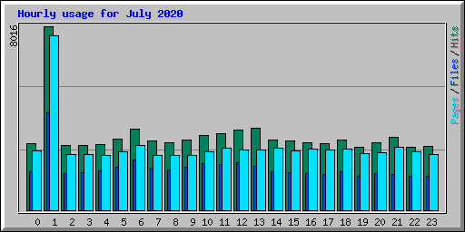 Hourly usage for July 2020