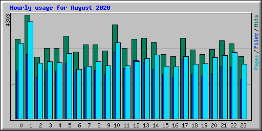 Hourly usage for August 2020