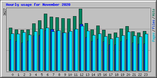 Hourly usage for November 2020