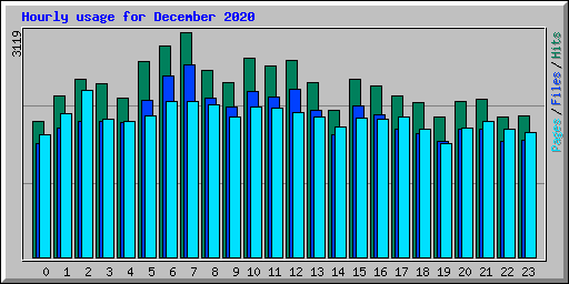 Hourly usage for December 2020