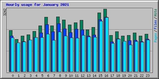 Hourly usage for January 2021