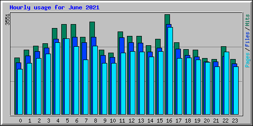 Hourly usage for June 2021