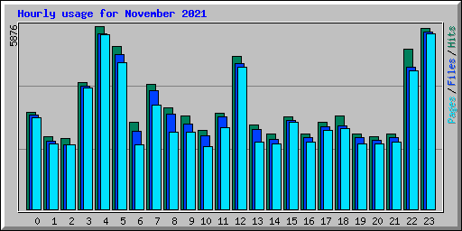 Hourly usage for November 2021