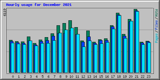 Hourly usage for December 2021