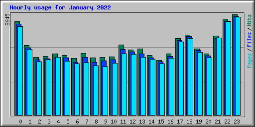 Hourly usage for January 2022