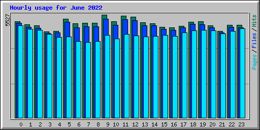 Hourly usage for June 2022