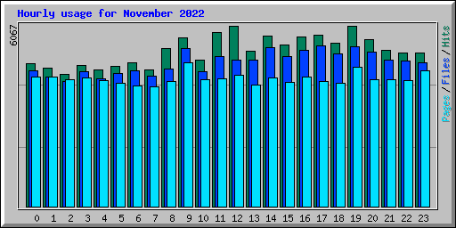 Hourly usage for November 2022