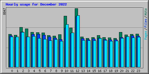 Hourly usage for December 2022