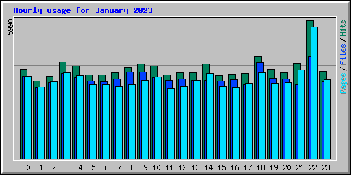 Hourly usage for January 2023