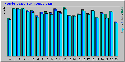 Hourly usage for August 2023