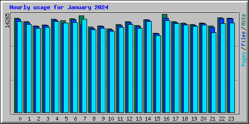 Hourly usage for January 2024