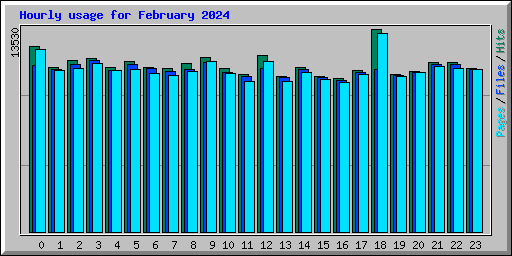 Hourly usage for February 2024
