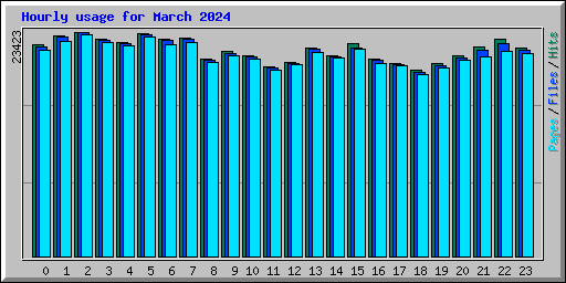 Hourly usage for March 2024