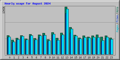 Hourly usage for August 2024