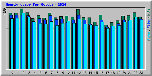 Hourly usage for October 2024