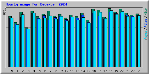 Hourly usage for December 2024