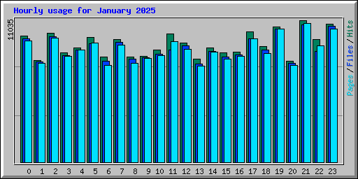 Hourly usage for January 2025