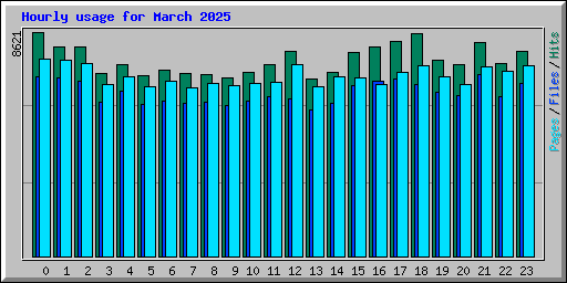 Hourly usage for March 2025