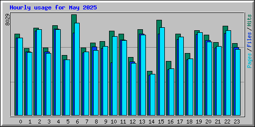 Hourly usage for May 2025