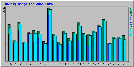 Hourly usage for June 2025