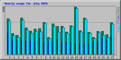 Hourly usage for July 2025