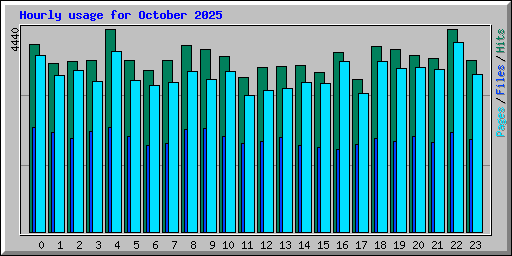 Hourly usage for October 2025