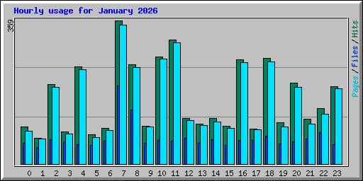 Hourly usage for January 2026