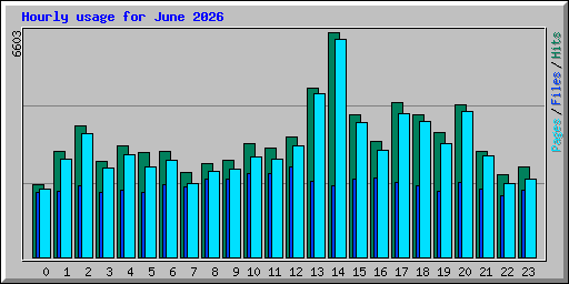 Hourly usage for June 2026