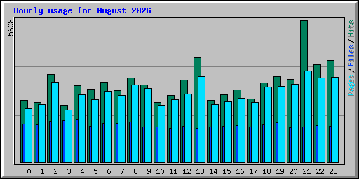 Hourly usage for August 2026